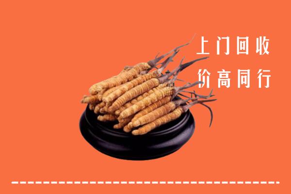 高价求购：奎文区回收散虫草