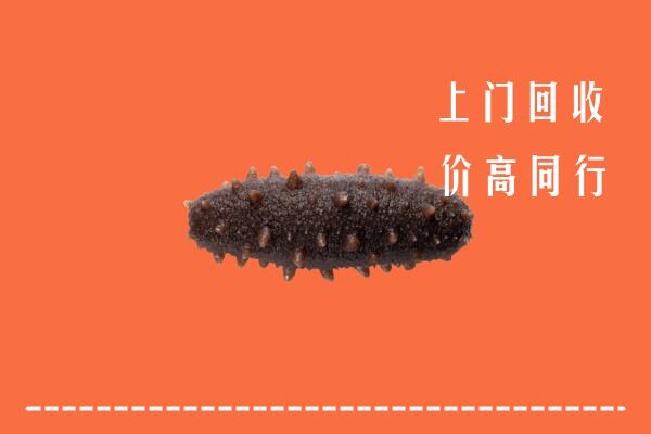 奎文区回收海参